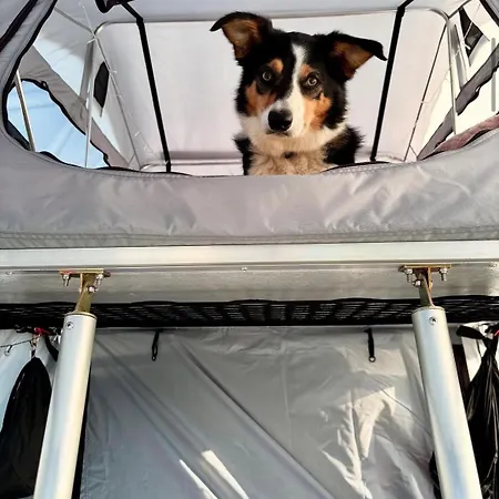 Lodi Campers Luxury tent